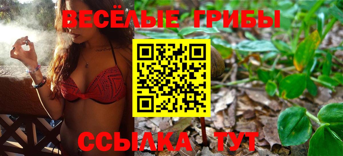 Галлюциногенные грибы Magic Shrooms Железногорск