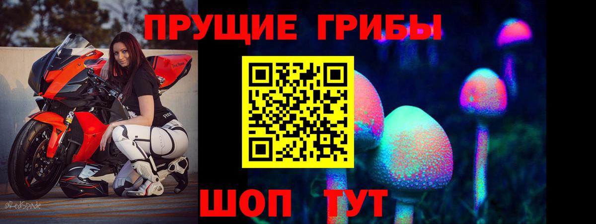 Железногорск  Галлюциногенные грибы MAGIC MUSHROOMS  Вход с VPN 